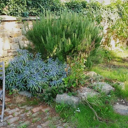 The Old Bank Beautiful Cotswold House With Huge Garden Villa Mickleton  Exterior photo