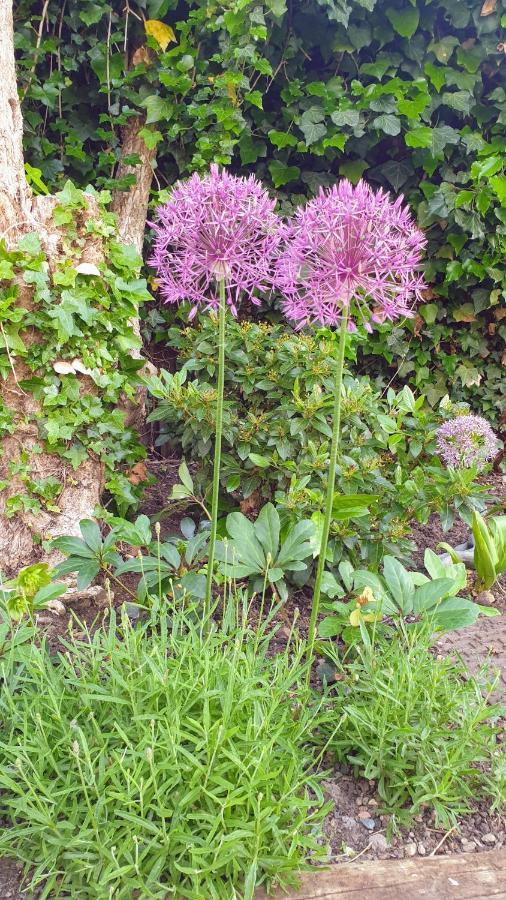 Holiday home The Old Bank Beautiful Cotswold House With Huge Garden *